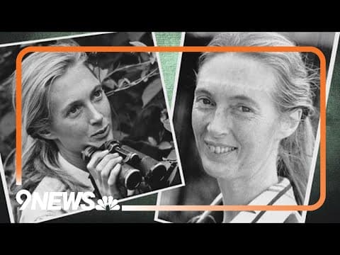 Dr. Jane Goodall, chimpanzee researcher and climate activist, dies at 91