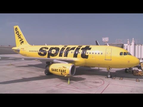 Spirit airlines removed cancelation, change fees
