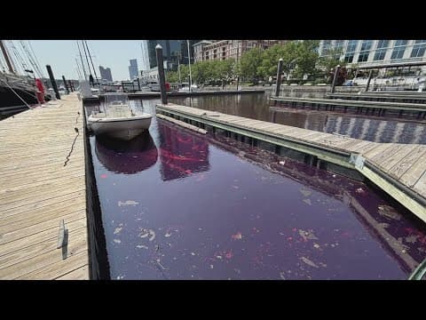 LIVE: 2,000-gallon fuel spill turns Baltimore's Inner Harbor red