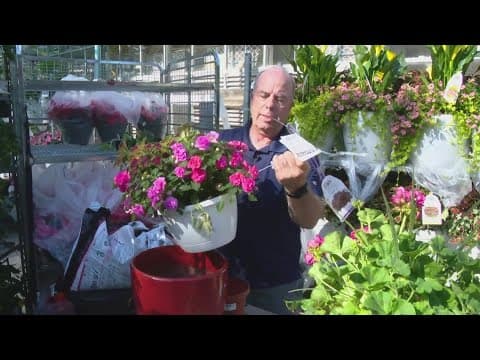 Mother's Day gift ideas