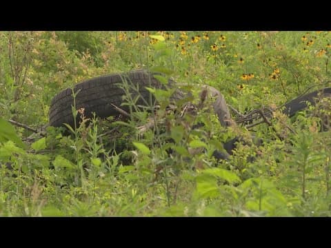 Illegal dumping surges near Buffalo Speedway