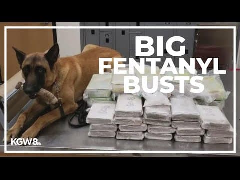 Oregon police seize 100,000 fentanyl pills in one of two bust