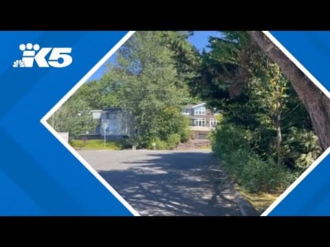 Suspects steal car from SEA Airport, use victim's garage opener to burglarize $100,000 from home