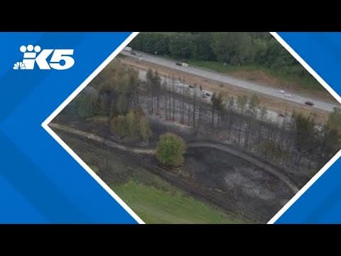 Brush fires burn along I-5