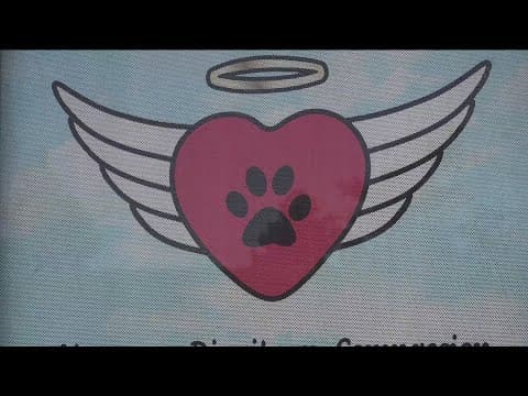 San Marcos obtains court order to enter shuttered Angel Paws Pet Cremation