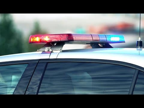 Registered sex offender arrested after allegedly attempting to leave the country