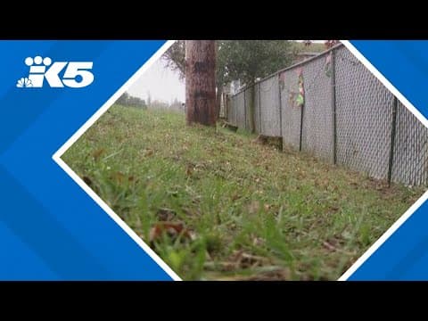Human skull found on the side of the road in Washington