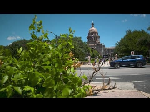 Lawmakers respond to increasing political violence, free speech on campus in the wake of Charlie Kir