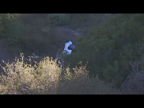Woman survives 5 days trapped in car after crashing, falling 200 feet from Mount Baldy in California