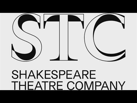 'Duel Reality' offers an action-packed circus spin on Shakespeare