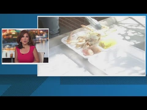 Maryland Blue Crab could be at risk