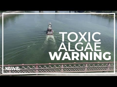 YouTube thumbnail for video aLJtgAcEAn0