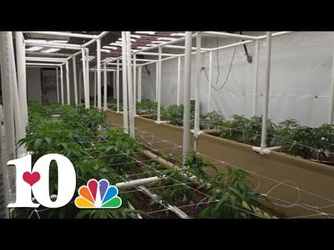 Hemp businesses wait for new regulations established by TN Dept. of Agriculture