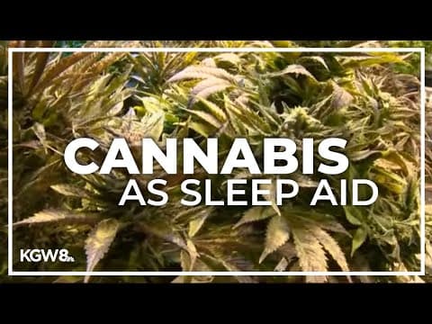 WSU study: Cannabis users are less reliant on over-the-counter sleep aids