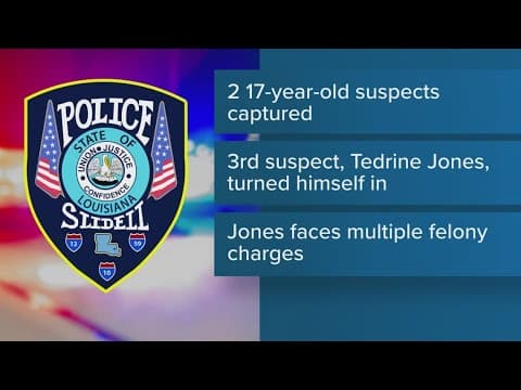 Suspect killed during attempted car theft, another suspect now in custody