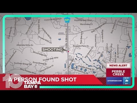Tampa shooting: Person killed near Bruce B Downs, deputies say