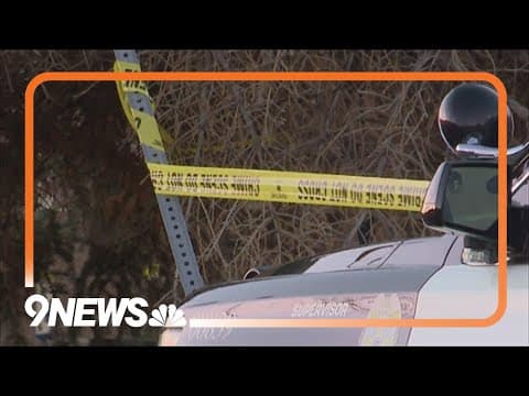 Jury convicts truck driver who shot and killed woman over rock throwing