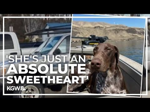 The Dalles family searching for stolen truck with dog inside
