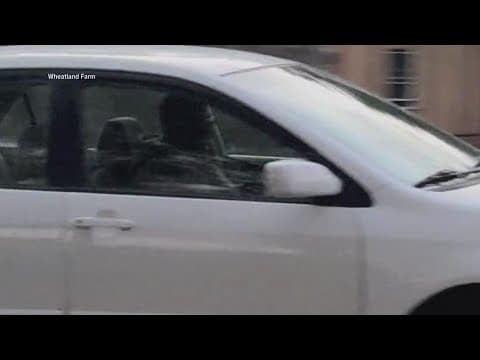 The latest on the man who stabbed a dog to death while on a walk with its owner in Falls Church