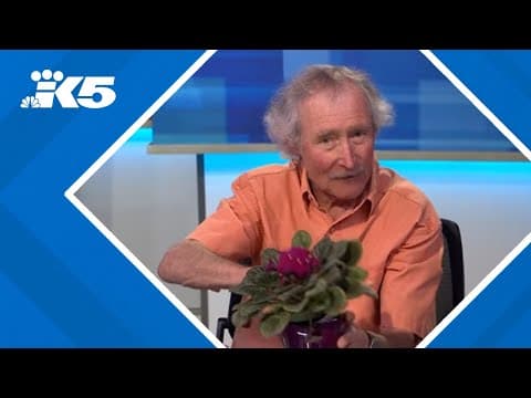 Celebrate the summer solstice with Ciscoe Morris