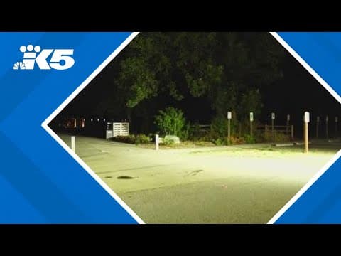 2 people pulled from Lake Sammamish, hospitalized