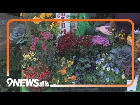 Tricks to fall planting season