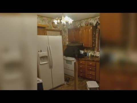 Bell County family meets unexpected houseguest after black bear falls through ceiling