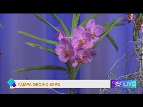 Tampa Orchid Expo Oct. 4–5