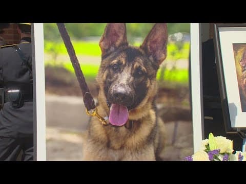 McKinney police hold memorial for K9 officer killed in shooting