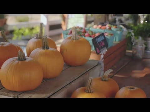 Coastal Roots Farm hosts their Sukkot Harvest Festival to celebrate the end of summer harvest