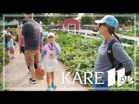 Kemps Little Farm Hands gives kids know about farm life