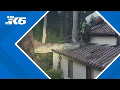 Woman killed after tree falls on home in Bridle Trails during windstorm from bomb cyclone