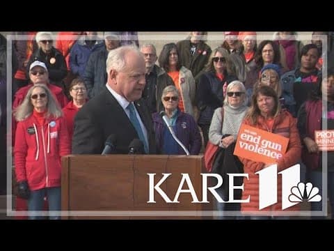 Lawmakers rally for stricter gun laws