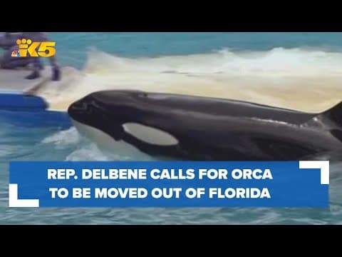 Rep. DelBene calls for captive Southern Resident orca to be moved ahead of hurricane season