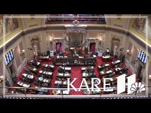 Minnesota Senate Republicans fail in bid to expel Sen. Nicole Mitchell