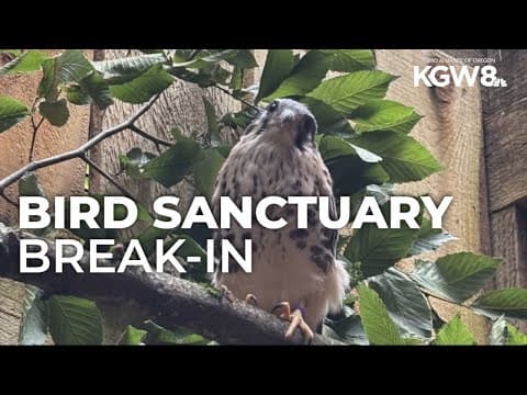 Injured birds missing, at least 1 presumed dead after Portland bird sanctuary break-in