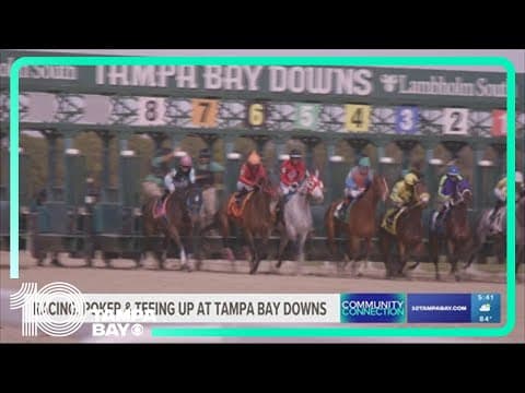 Racing, poker and teeing up at Tampa Bay Downs