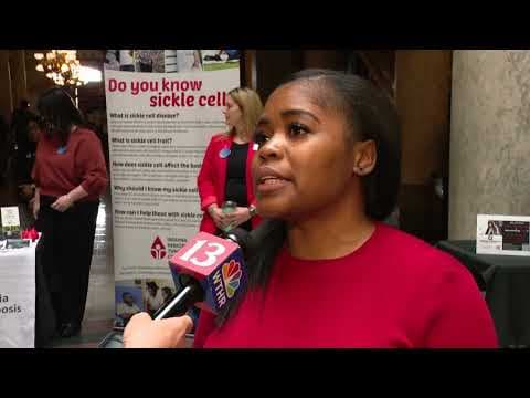 Advocates raising awareness on Sickle Cell disease at the Statehouse