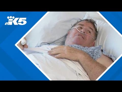 'Chaos': Neighbors describe multi-vehicle crash in Lacey