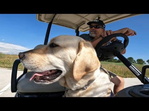 'He saved my life' | Service dog wakes up veteran during silent heart emergency