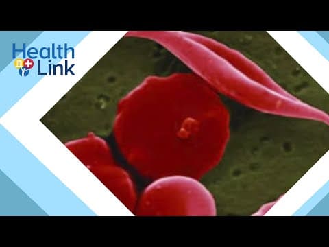 Fred Hutch scientists advance gene therapy with simplified treatment method: HealthLink