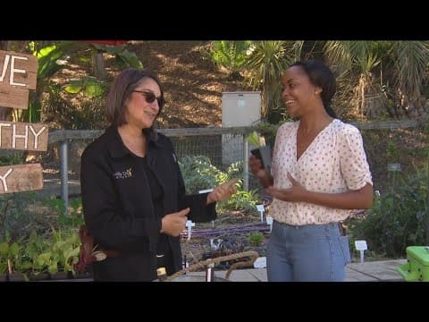 Lots to love as San Diego Botanic Garden unveils February calendar