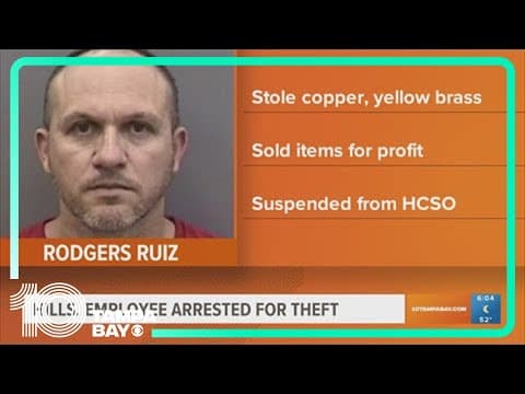 Hillsborough sheriff employee arrested for theft