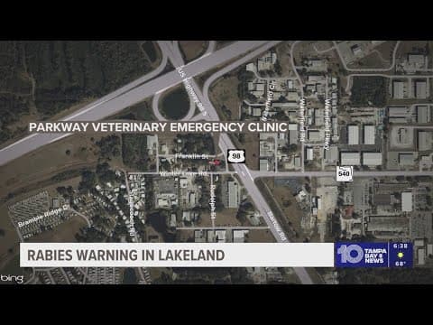 Rabies case confirmed in Polk County; 1st of the year