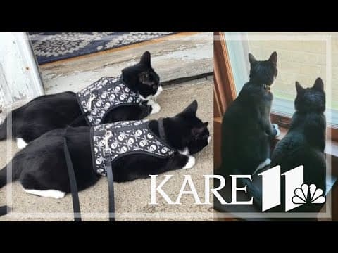 Your Good News: Caroline Ellertson, Cheryle, Jon and Lori Sporer