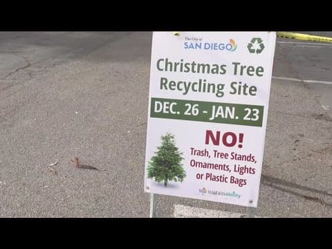 What happens to your Christmas tree after it’s recycled in San Diego? | Earth 8