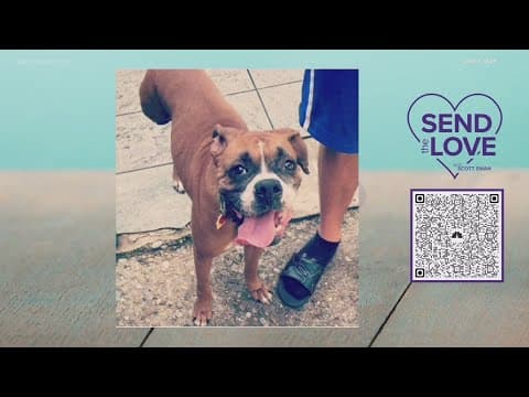 Send the Love update