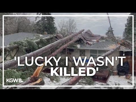 Trees crash into West Hills resident's home during ice storm