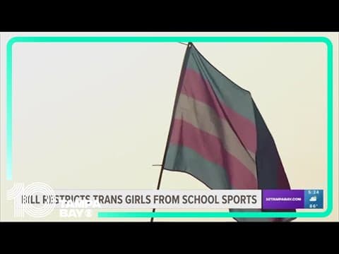 House passes trans athlete ban for girls and women's teams