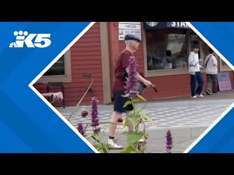 Video shows pedestrians running from waterfront shooter